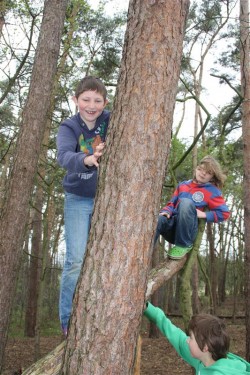 Weeekend - Toneelvereniging Plankenkoorts 